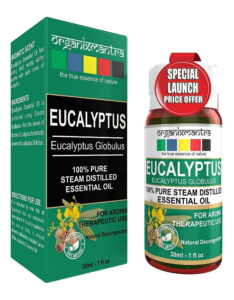 10 Best Brands of Eucalyptus Oil