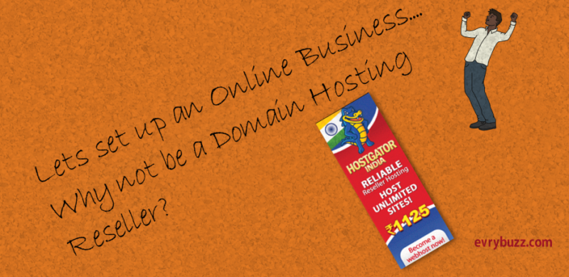 Domain Hosting Reselling: Earn Online from this new business