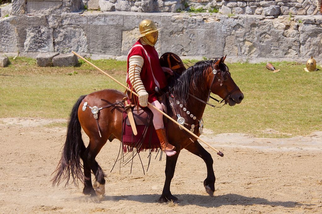 Myths About Gladiators: Participants